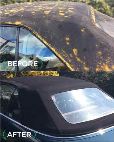 My Convertible Top Has Mould On It What Can I Use To Clean It Top Tips From Renovo S Soft Top Doctor